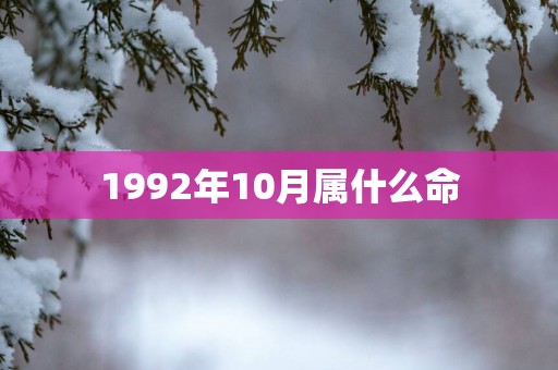 1992年10月属什么命