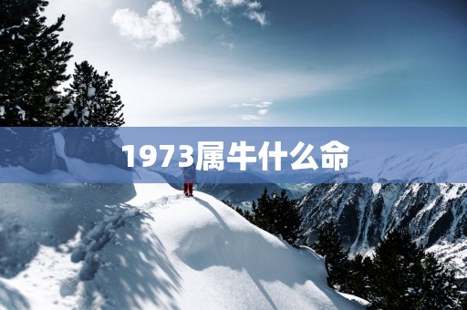 1973属牛什么命