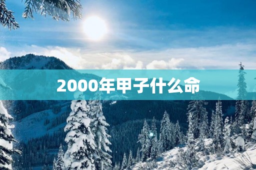 2000年甲子什么命