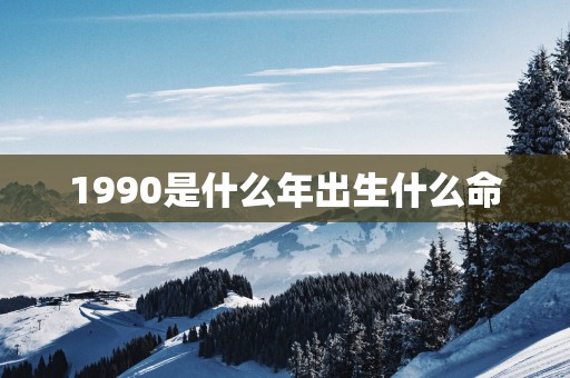 1990是什么年出生什么命
