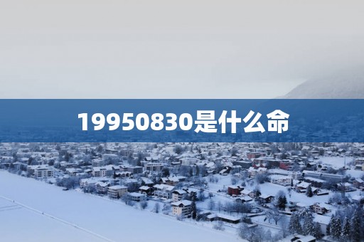19950830是什么命