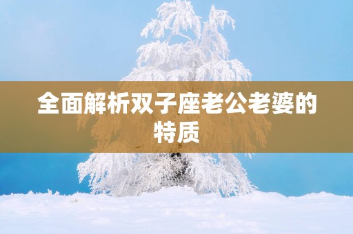 全面解析双子座老公老婆的特质