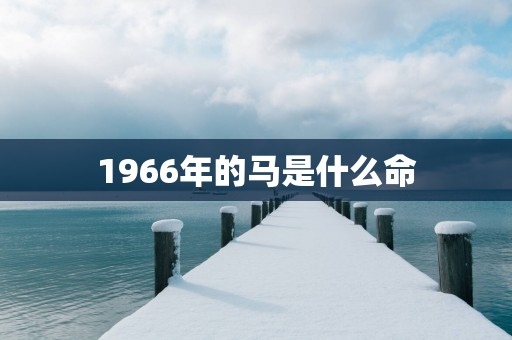 1966年的马是什么命