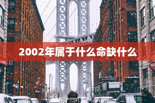 2002年属于什么命缺什么