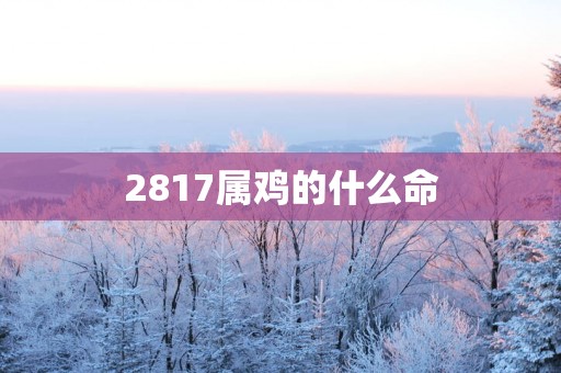 2817属鸡的什么命
