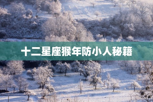 十二星座猴年防小人秘籍