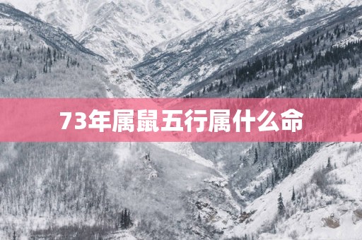 73年属鼠五行属什么命