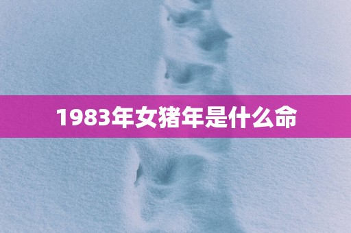 1983年女猪年是什么命