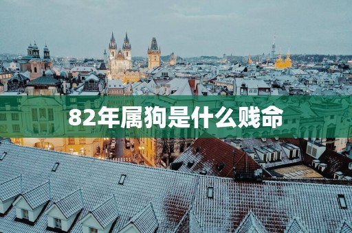 82年属狗是什么贱命