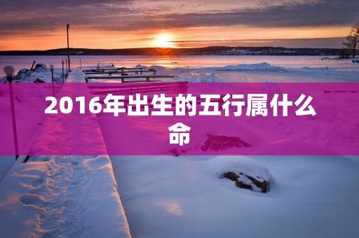 2016年出生的五行属什么命