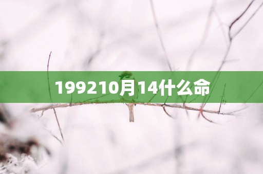 199210月14什么命