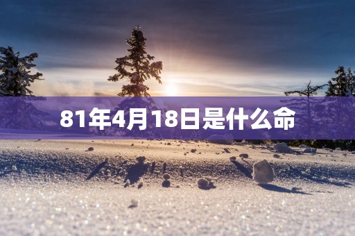 81年4月18日是什么命