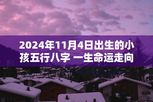 2025年11月4日出生的小孩五行八字 一生命运走向
