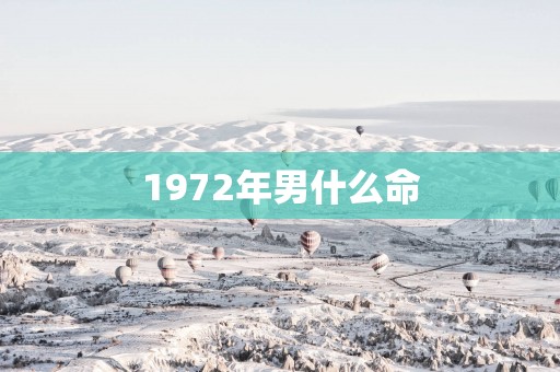 1972年男什么命