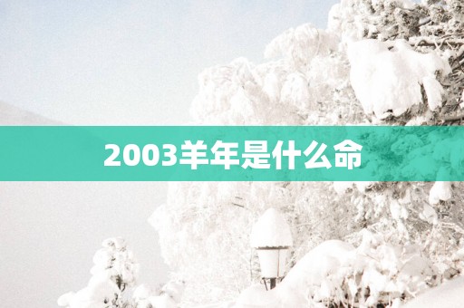 2003羊年是什么命