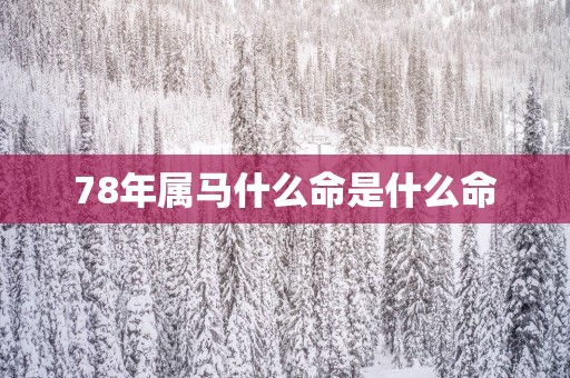 78年属马什么命是什么命