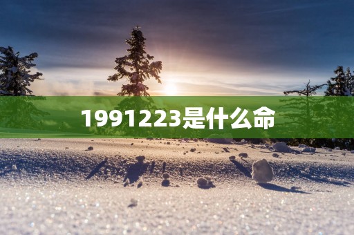 1991223是什么命