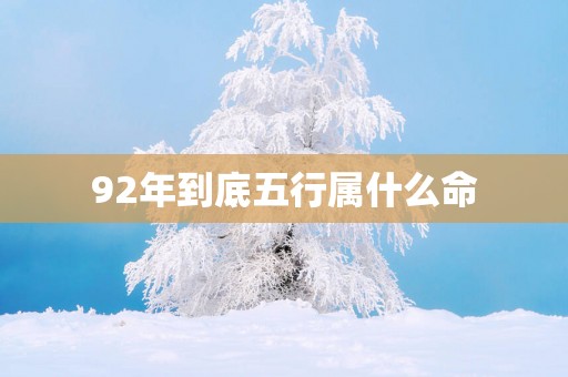 92年到底五行属什么命
