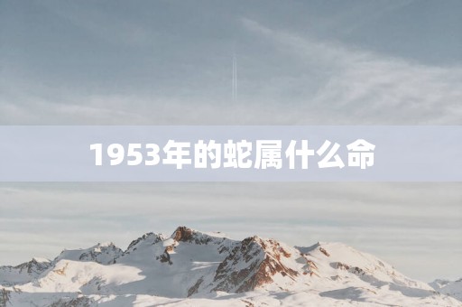 1953年的蛇属什么命