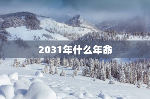 2031年什么年命