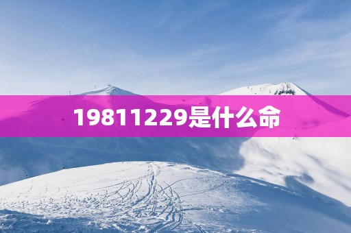 19811229是什么命