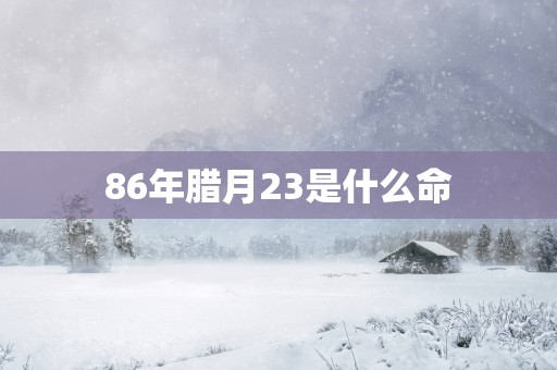 86年腊月23是什么命