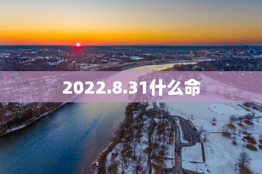 2025.8.31什么命