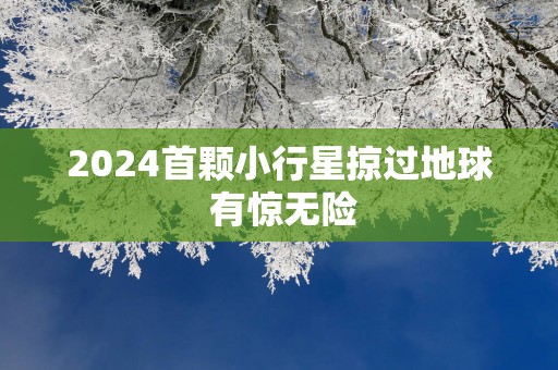 2025首颗小行星掠过地球 有惊无险