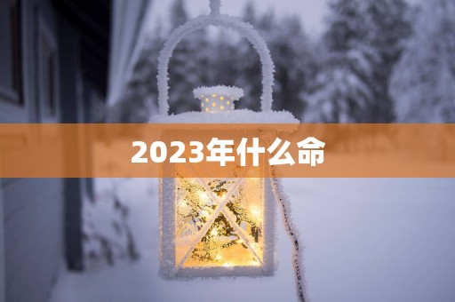 2025年什么命