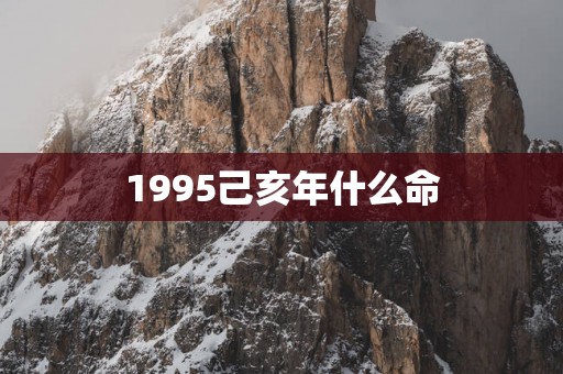 1995己亥年什么命