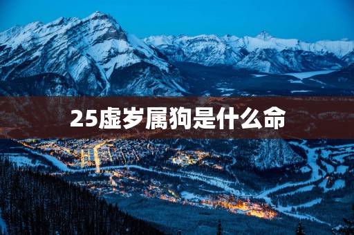 25虚岁属狗是什么命