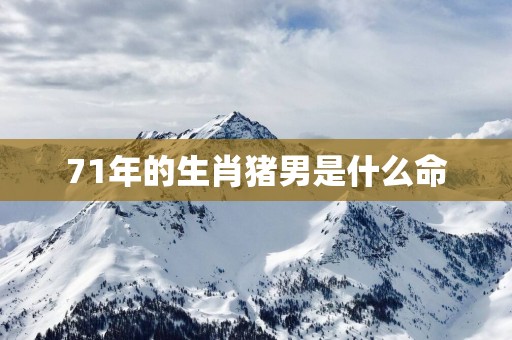 71年的生肖猪男是什么命
