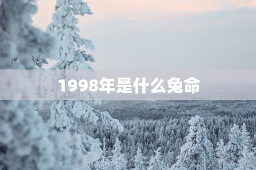 1998年是什么兔命
