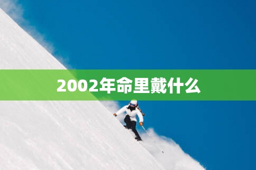 2002年命里戴什么