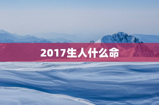 2017生人什么命