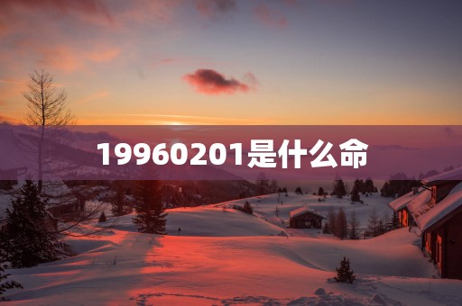 19960201是什么命