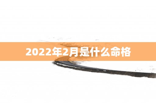 2025年2月是什么命格