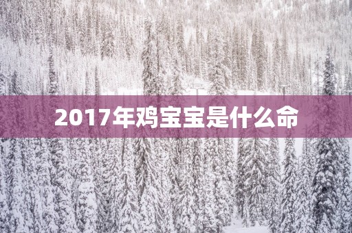 2017年鸡宝宝是什么命