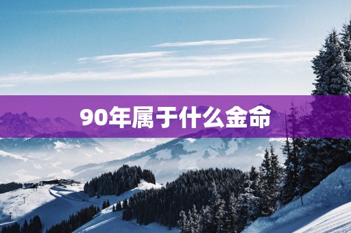 90年属于什么金命