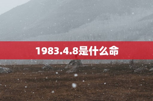 1983.4.8是什么命