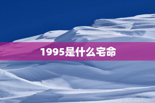 1995是什么宅命