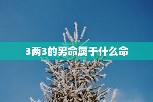 3两3的男命属于什么命