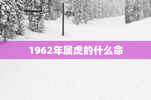 1962年属虎的什么命