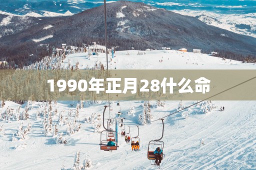 1990年正月28什么命