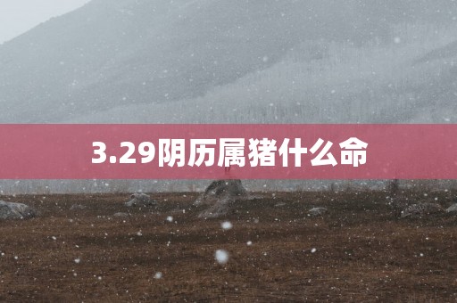 3.29阴历属猪什么命