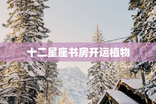 十二星座书房开运植物