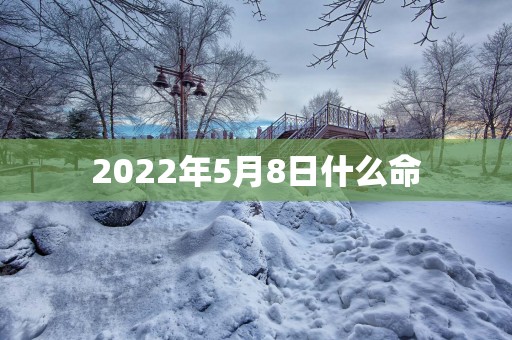 2025年5月8日什么命