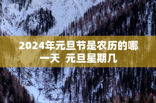 2025年元旦节是农历的哪一天  元旦星期几