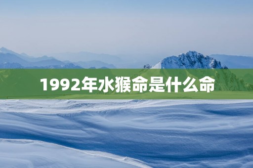 1992年水猴命是什么命