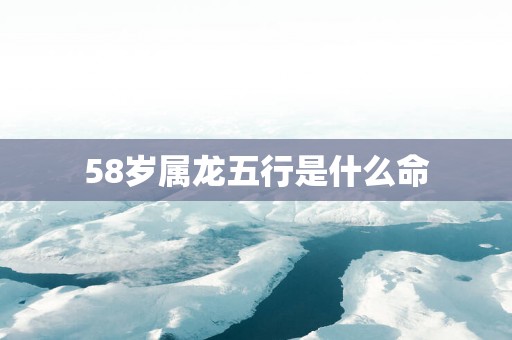 58岁属龙五行是什么命